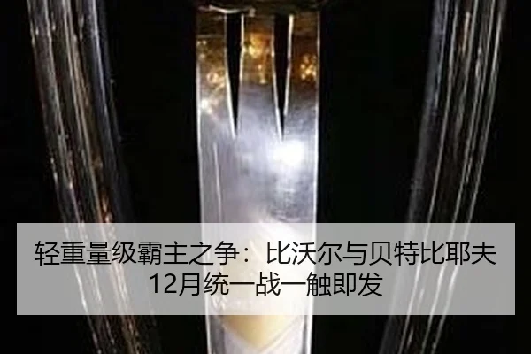 qing-zhong-liang-ji-ba-zhu-zhi-zheng-bi-wo-er-yu-bei-te-bi-ye-fu-yue-tong-yi-zhan-yi-chu-ji-fa-2-724.jpg